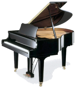 Piano Online Performance - Piano